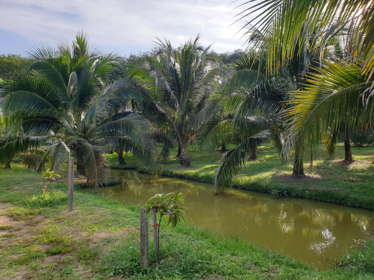 Baan Suan Coconut Ko Yao Noi Hotell Eksteriør bilde