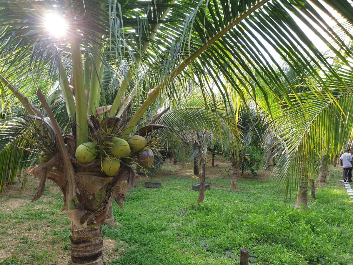 Baan Suan Coconut Ko Yao Noi Hotell Eksteriør bilde